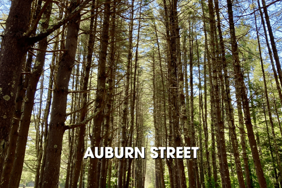Auburn Street Album Release August 3rd 2025